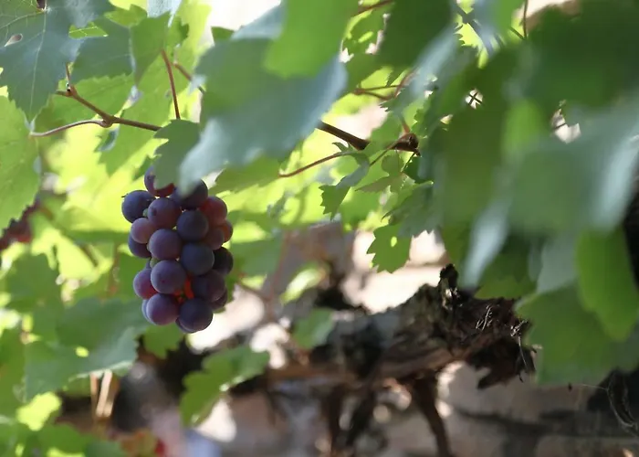 Gaestehaus Knaup Casa de hóspedes 4*